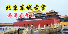 大鸡八操大骚屄视频网站中国北京-东城古宫旅游风景区